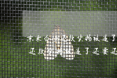 京东白条还款货物被退了还要还-京东白条还款货物被退了还要还吗