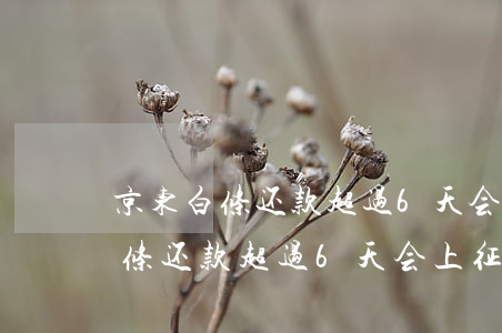 京东白条还款超过6天会上征信吗-京东白条还款超过6天会上征信吗怎么办