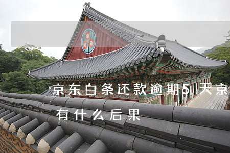 京东白条还款逾期5天(京东白条逾期五天会有什么后果?)