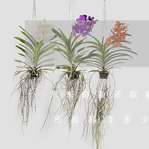 京东白条还款额度多少才能恢复-京东白条还款额度多少才能恢复使用