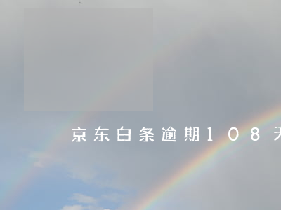京东白条逾期108天(京东白条逾期28天)
