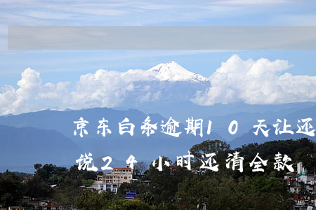 京东白条逾期10天让还全款(京东白条逾期说24小时还清全款)
