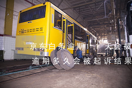 京东白条逾期11天会被起诉吗-京东白条逾期多久会被起诉?结果竟然是这样的!