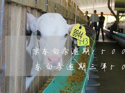 京东白条逾期1500一年多了要还多少(京东白条逾期三年5000多)