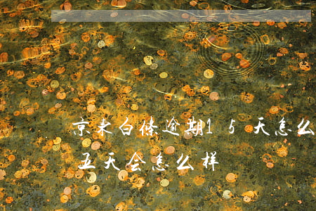 京东白条逾期15天怎么办(京东白条逾期十五天会怎么样)