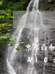京东白条逾期15天有影响吗-京东白条逾期10天会怎样