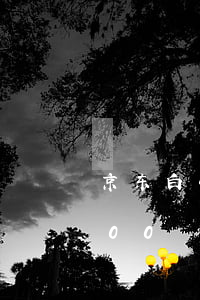京东白条逾期1600元(京东白条逾期2000)