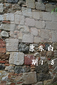 京东白条逾期18天会上征信么 京东白条逾期18天会上征信么