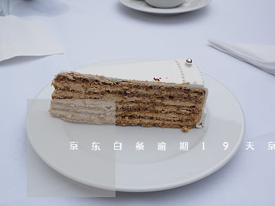 京东白条逾期19天(京东白条逾期21天)