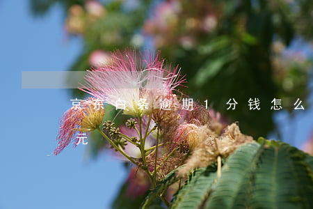 京东白条逾期1分钱怎么办(京东白条逾期1元)