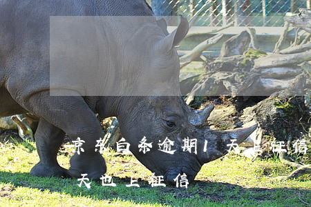 京东白条逾期1天上征信吗（京东白条逾期一天也上征信）