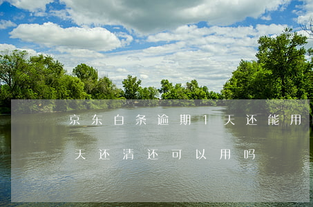 京东白条逾期1天还能用吗(京东白条逾期一天还清还可以用吗)