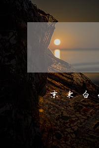 京东白条逾期1年多