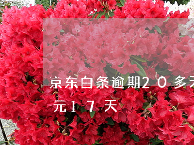 京东白条逾期20多天（京东白条逾期80多元17天）