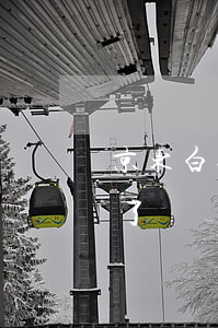 京东白条逾期20天了（京东白条逾期30天了）