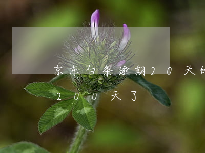 京东白条逾期20天的后果-京东白条逾期200天了