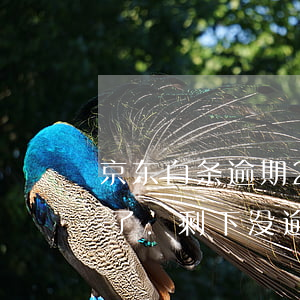京东白条逾期22天还款(京东白条逾期的还了.剩下没逾期的还要还)