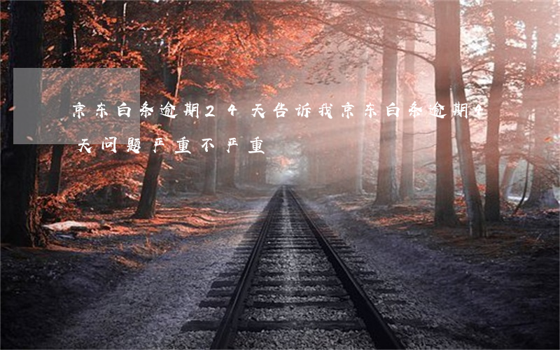 京东白条逾期24天告诉我(京东白条逾期4天问题严重不严重)