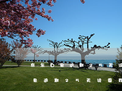 京东白条逾期25天说要我还全款-京东白条逾期25天说要我还全款是真的吗