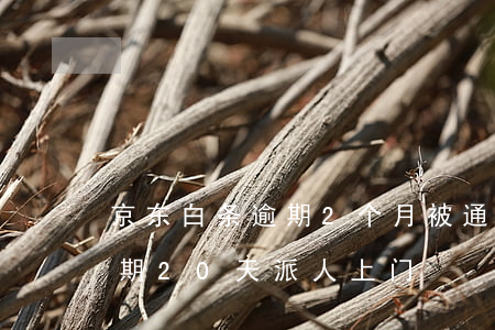 京东白条逾期2个月被通知上门（京东白条逾期20天派人上门）