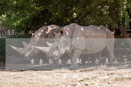 京东白条逾期2个月还了还款(京东白条逾期了还了逾期部分其他的要一次还清吗)