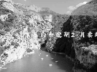 京东白条逾期2月要起诉(京东白条逾期会被起诉)