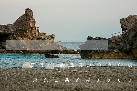 京东白条逾期3000说要上门找村委会-京东白条逾期3000说要上门找村委会是真的吗
