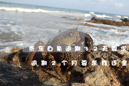 京东白条逾期32天要求全额还款(京东白条逾期2个月要求我还全款并起诉我)