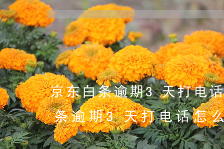 京东白条逾期3天打电话怎么回事-京东白条逾期3天打电话怎么回事啊
