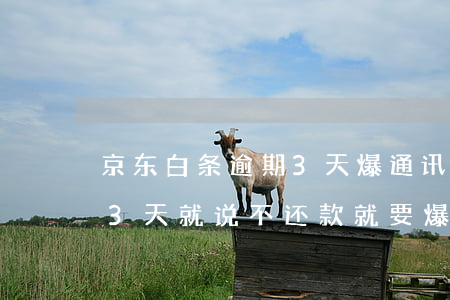 京东白条逾期3天爆通讯录(京东白条逾期13天就说不还款就要爆通讯录)