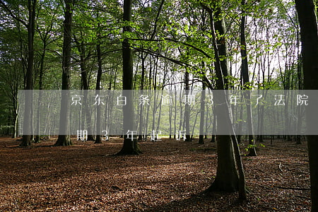 京东白条逾期3年了法院受理-京东白条逾期3年起诉