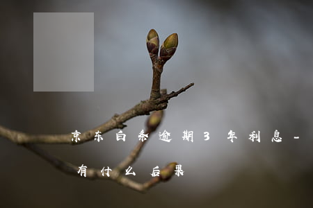 京东白条逾期3年利息-京东白条逾期3天有什么后果