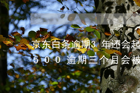 京东白条逾期3年还会起诉(京东白条欠了1500逾期三个月会被起诉吗)