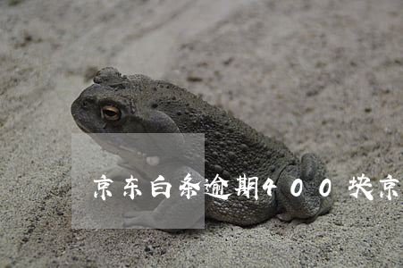 京东白条逾期400块（京东逾期100块钱）