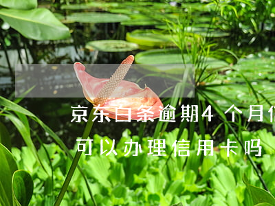 京东白条逾期4个月信用卡(京东白条有逾期可以办理信用卡吗)