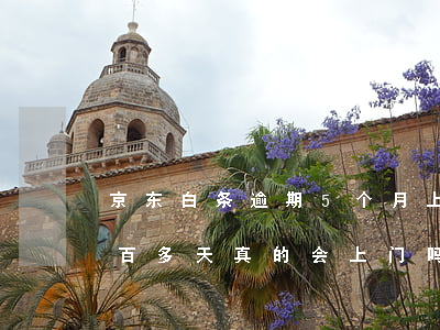 京东白条逾期5个月上门-京东白条逾期两百多天真的会上门吗