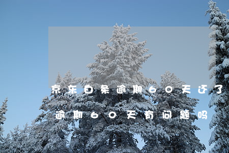 京东白条逾期60天还了还能用吗(京东白条逾期60天有问题吗)