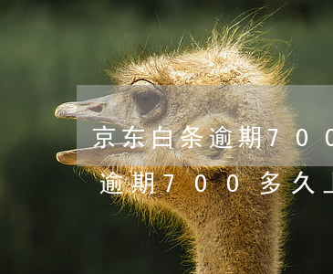 京东白条逾期700多久上征信-京东白条逾期700多久上征信