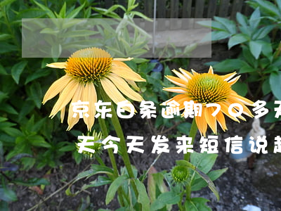 京东白条逾期70多天(京东白条逾期70多天今天发来短信说起诉我了)