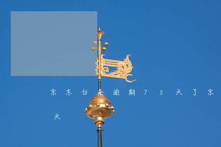京东白条逾期75天了(京东白条逾期60多天)