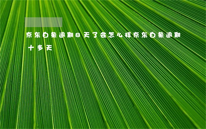 京东白条逾期8天了会怎么样(京东白条逾期十多天)