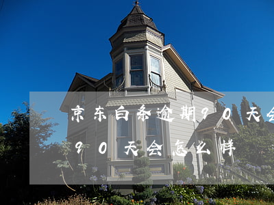 京东白条逾期90天会起诉吗(京东白条逾期90天会怎么样)