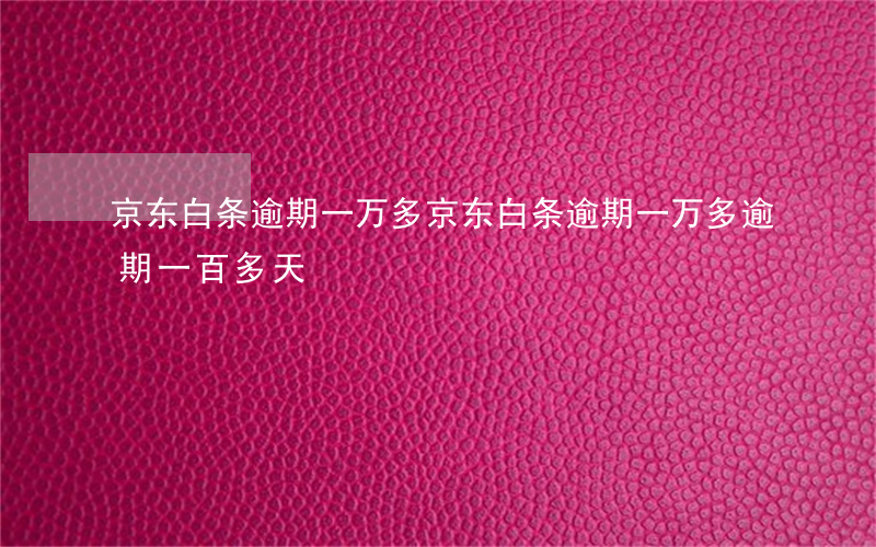 京东白条逾期一万多(京东白条逾期一万多逾期一百多天)