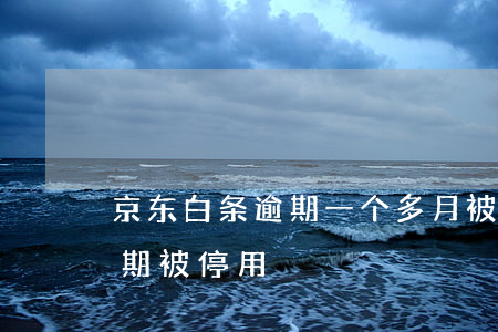 京东白条逾期一个多月被关闭（京东白条无逾期被停用）