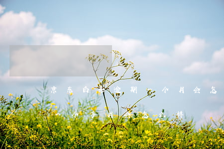 京东白条逾期一个月会怎样(京东白条逾期了一个多月会怎么样)