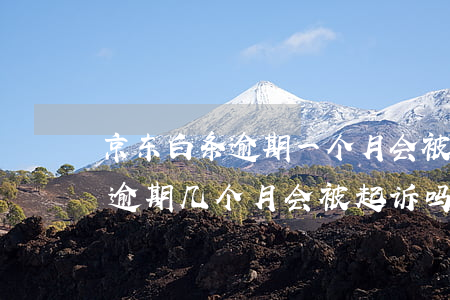 京东白条逾期一个月会被起诉么-京东白条逾期几个月会被起诉吗