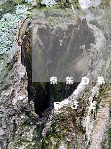 京东白条逾期一个月还上(京东白条逾期一个月还上)
