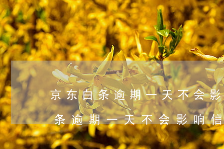 京东白条逾期一天不会影响信誉吧-京东白条逾期一天不会影响信誉吧吗