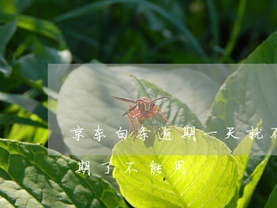 京东白条逾期一天就不能用了吗（京东白条逾期了不能用）