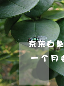 京东白条逾期一天影响房贷吗(京东白条逾期一个月会影响贷款买房吗)